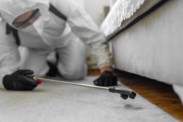 Professional Ant Control technician working in Mathews, LA