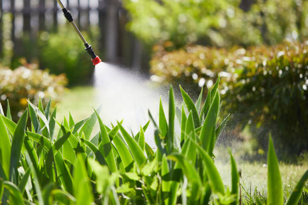 24/7 Emergency Ant Control experts in Mathews, LA